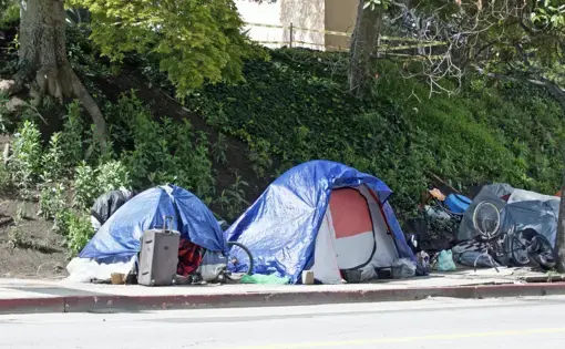 Homeless encampments along a Los Angeles roadside on April 8, depicting the growing epidemic of homelessness amid the worldwide COVID-19 pandemic. Image by Philip Pilosian/Shutterstock. United States, 2020.
