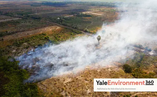 A burning field in the Beng Per Wildlife Sanctuary, in northern Cambodia. Beng Per is a sanctuary in name only as most of the land has been sold by the government for agricultural concessions and rubber plantations. Cambodia, 2020.