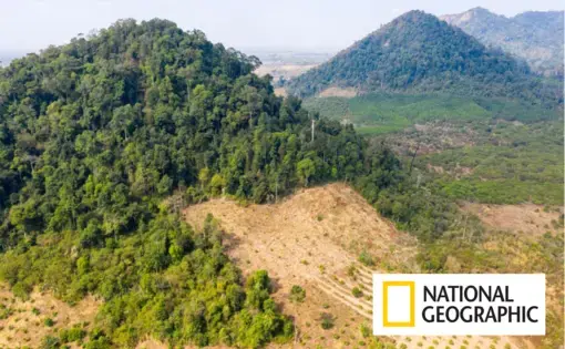Cleared forests in Preah Vihear Province, in northern Cambodia near the border with Laos. The South East Asian country has one of the fastest rates of deforestation in the world; it's estimated that only 3 percent of primary forest remains. Image by Sean Gallagher. Cambodia, 2020.