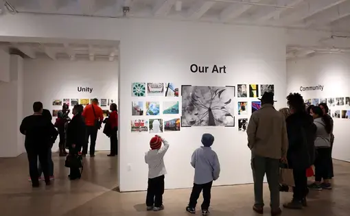 Public visitors and families of students observing the various aspects of DC at the exhibition. Image by Evey Wilson. United States, 2017.