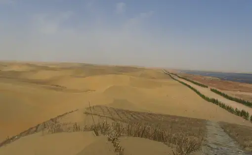 Trees versus sand. Image by Vince Beiser. China, 2016.