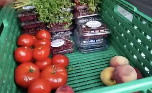 Bin of fresh produce being donated instead of thrown away at a French supermarket. Image by PBS NewsHour. France, 2019.