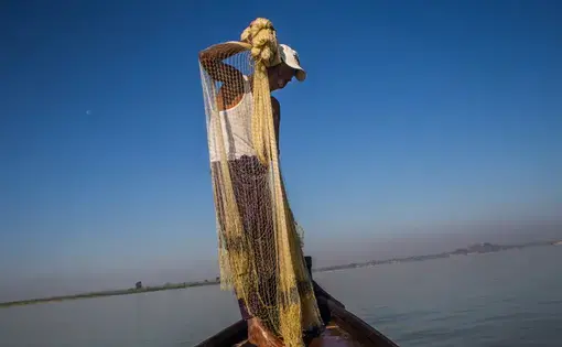 U Maung Lay is one of a few dozen fishermen on the Irrawaddy River who still work with Irrawaddy dolphins. The dolphins help herd fish into the fishermen’s nets. Image by Minzayar Oo. Myanmar, 2017.