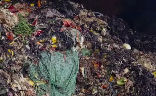Food waste rots in a landfill. Image by PBS NewsHour. United States, 2019.