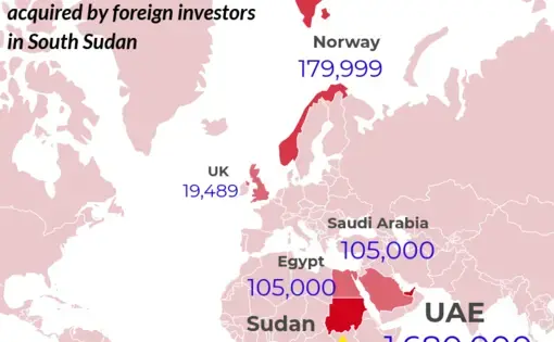 2.5 million hectares of land have been acquired by foreign investors in South Sudan, according to Land Matrix data. The biggest investor is the United Arab Emirates. Image courtesy of Annika McGinnis.