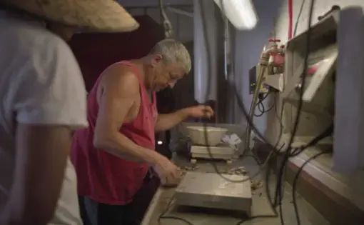 Grand Isle. Dean Blanchard weighs shrimp as his team unload trawlers that arrive at his dock. “When the dead zone comes, it just kills everything,” Blanchard said. Image by Spike Johnson. United States, 2019.