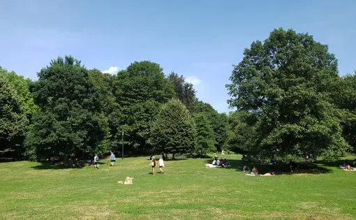 Prospect Park visitors find shade under trees. Image by Clarisa Diaz. United States, 2020.