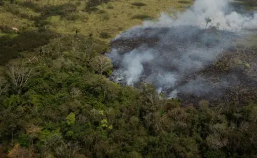 About 40 kilometers from Rio Branco, the capital of Acre, fire quickly consumes all virgin forest and livestock areas. Between January 1 and August 22, 76,720 fire outbreaks were recorded, 85% more than in the same period of 2018 (when there were 41,400). Image by Marcio Pimenta. Brazil, 2019.
