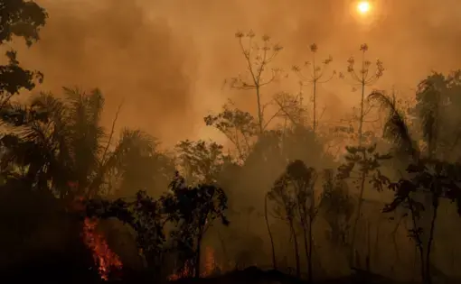 The data is from the National Institute for Space Research (INPE), which also points out that over 80 percent of the territory devoured by flames is in the Amazon. In Bujari, Acre, several fire outbreaks can be observed. Image by Marcio Pimenta. Brazil, 2019.