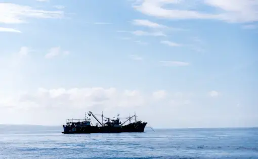 Fishing in the blue waters of the Philippine Sea. Image by hijodeponggol / Shutterstock. Philippines, undated.