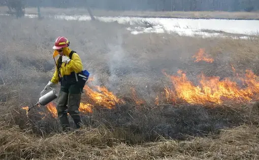 Fire biologist lights controlled burn. Image by Colby Hawkinson. United States, 2011.
