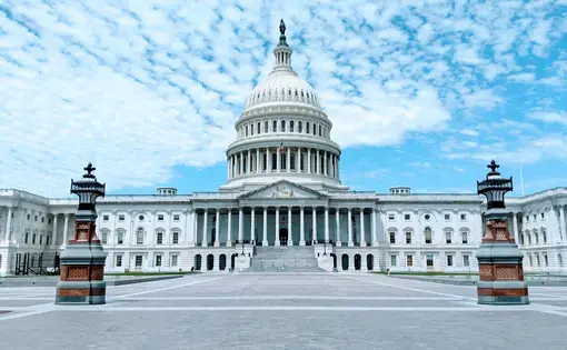 In May, epidemiologist Caitlin Rivers was called to testify before Congress about COVID-19. Image by Noah Sauve / Shutterstock. United States, 2020.