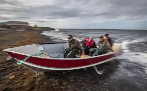 After a tough day of fishing in the swells of the northern Bering Sea, a crew returns to Savoonga on Alaska’s St. Lawrence Island. They went after halibut, but Robin Kogassagoon (shown in the bow) Derek Akeya and Walker Akeya pulled in mostly Pacific cod, now far more abundant as these waters warm. Image by Steve Ringman / The Seattle Times. United States, 2019.
