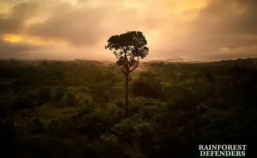 Sunrise on the Arinos River in the North of Mato Grosso, over Rikbaktsa indigenous lands. Image by Pablo Albarenga. Brazil, 2019.