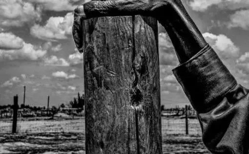 Allensworth, Tulare County, Calif. Image by Matt Black. US, 2015. Media file: 023-800.jpg