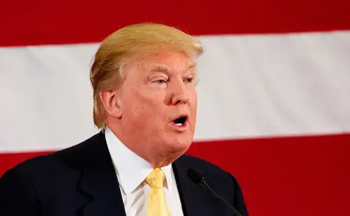 Donald Trump at the First In Nation Republican Leadership Summit, Nashua, New Hampshire. Image by Michael Vadon (CC BY-SA 2.0). United States, 2018.