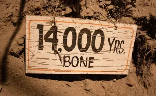 Sign inside permafrost tunnel near Fairbanks, Alaska dates a bone in the wall. Image by Amy Martin. United States, 2019.