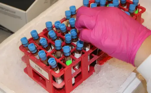 A researcher at biopharmaceutical company DeCode Genetics labels blood samples that are kept on ice. Image by Anna M. Clausen. Iceland, 2017.
