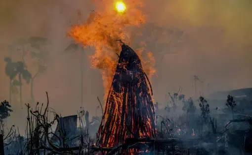 Fire consumes tree trunk in forest clearing in rural Assis Brazil. Image by Jardy Lopes/Notícias da Hora. Brazil, 2019.