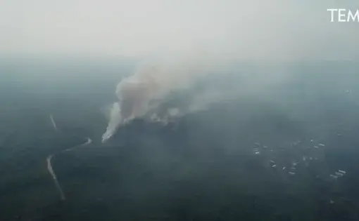 Media file: Plantation companies were involved in the forest fire 