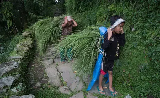 Image by Pankaj Khadka. Nepal, 2015. Image by Pankaj Khadka. Nepal, 2015.