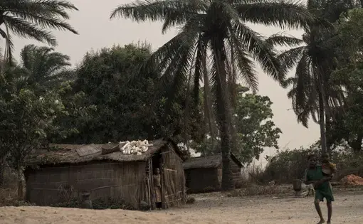 Cassava roots dry on the roof of a house on the outskirts of Kahemba. Image by Neil Brandvold. DRC, 2016. Cassava roots dry on the roof of a house on the outskirts of Kahemba. Image by Neil Brandvold. DRC, 2016.