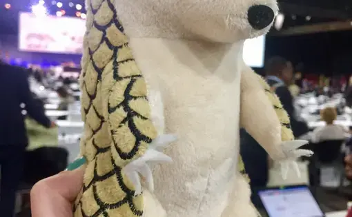 Representatives from more than 100 countries prepare to vote on pangolin protection at the CITES conference in Johannesburg. Image by Rachel Nuwer.  South Africa, 2016.