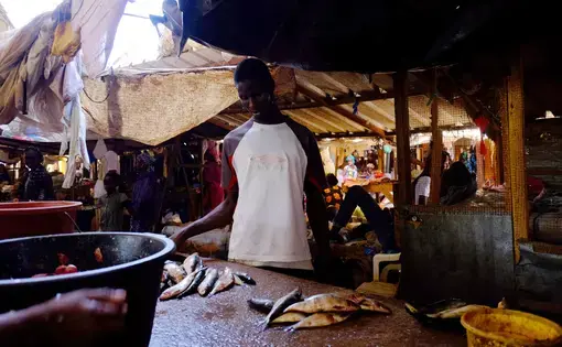 Mohammad Moustafa Ndoye sells fish from his stall in the covered market in Dahra, Senegal. Image by Jill Filipovic. Senegal, 2017.