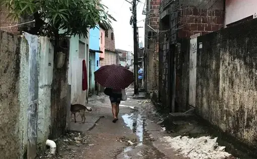 Image by Poonam Daryani. Brazil, 2017.