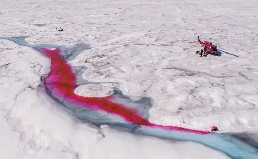 In March, Geophysical Research Letters reported that the western part of Greenland’s ice sheet is melting at its fastest rate in at least 450 years. Some scientists believe that the Arctic hasn’t seen ice melt like this in 5,000 years. If the ice sheet melts entirely, sea levels would rise 20 feet, leaving Lower Manhattan underwater. Jason Gulley, a geologist, and Celia Trunz, a Ph.D. student in geology, have been conducting meltwater research by releasing a fluorescent red dye to determine how and why…
