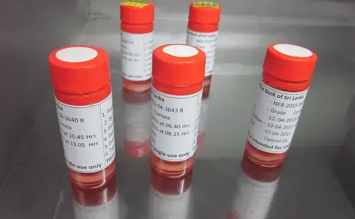 Corneas stored in a refrigerator at Sri Lanka's National Eye Bank in Colombo. Corneas must be used on a patient within about four weeks of being taken from a donor. Image by Ross Velton. Sri Lanka, 2015. Media file: corneas_at_national_eye_bank_of_sri_lanka.jpg