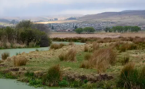 A stream meanders through a wetland in Wakkerstroom, Mpumalanga. The region is a Strategic Water Source Area, the segments of South Africa, Lesotho and Swaziland that make up 8 percent of land area but account for 50 percent of water supply. Image by Mark Olalde. South Africa, 2016.