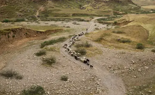 Drought in Sikvand village in Khuzestan Province has forced shepherds to move their flocks in search of grassland. Many nomadic families are seeking a way of life that will allow their children to go to school. Image by Newsha Tavakolian. Iran, 2018.