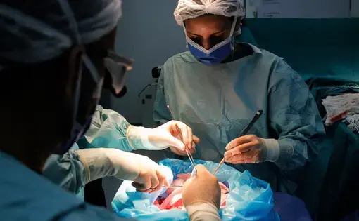 Members of a surgical team prepare a donated kidney to be transplanted into a patient on June 27, 2018, at an operating room in the private hospital Clínica Metropolitana, in Caracas, one of the few health centers that still performs this complex medical procedure. Image by Flaviana Sandoval. Venezuela, 2018. Members of a surgical team prepare a donated kidney to be transplanted into a patient on June 27, 2018, at an operating room in the private hospital Clínica Metropolitana, in Caracas, one of the few health centers that still performs this complex medical procedure. Image by Flaviana Sandoval. Venezuela, 2018.