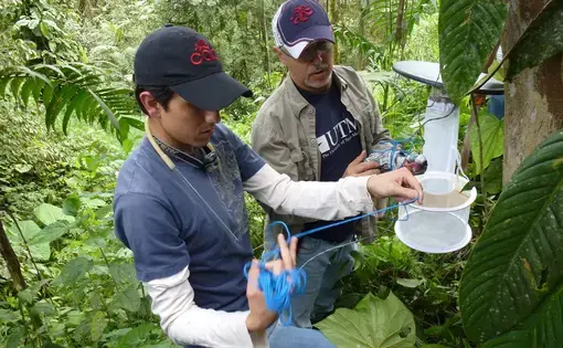 Juan Carlos setting up traps to collect mosquitoes and identify potential disease vectors in Ecuador, within the Amazon. Image courtesy of Juan Carlos Navarro. Ecuador, undated.