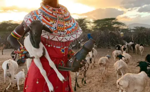 Animal Tracker, Kenya: A mother of three at 23, Mpayon Loboitong’o herds her family’s goats on her own; after her husband left to find work in Nairobi, she was told he’d been killed there. Her other full-time job: charting animal movements for Save the Elephants. For a monthly salary she and eight other women traverse the bush, unarmed, amid elephants, lions, and African buffalo. “I do this work so my kids don’t go to bed hungry,” she says. Image by Lynn Johnson. Kenya, 2019.