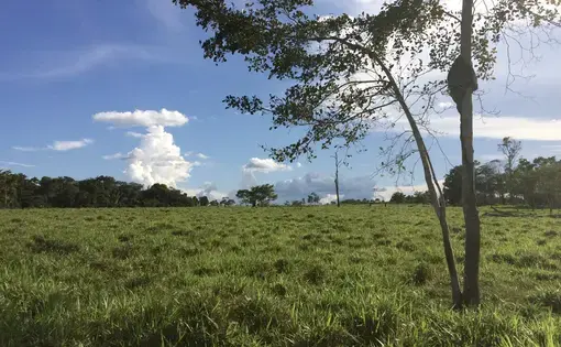 The Amazon region of Colombia, in El Retorno, Guaviare. Colombia's hot moment for conservation is up against the race to extract natural resources. Image by Lisa Palmer. Colombia, 2017. 