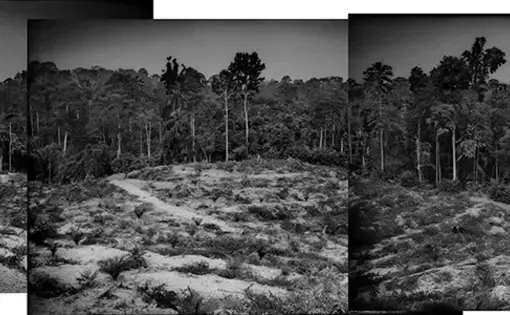 End of times for Malaysia's Batek? Image by James Whitlow Delano. Malaysia, 2019.