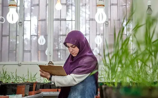 A technician records data on seeds germinated in a lab at ICARDA's facility in Lebanon. Image by Jacob Russell. Lebanon, 2016. A technician records data on seeds germinated in a lab at ICARDA's facility in Lebanon. Image by Jacob Russell. Lebanon, 2016.