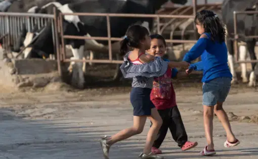 Mexico’s borders are open to free trade, which has meant a flood of imports, primarily from the United States. Mexican farmers say the imports drive down the prices they receive for their milk. Image by Mark Hoffman. Mexico, 2019.