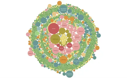 Visualization by Rigoberto Carvajal.
