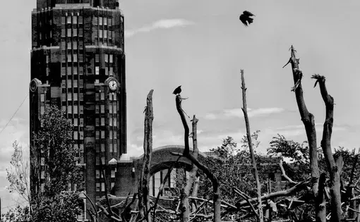 Shuttered train terminal in Buffalo, Erie County, N.Y. Population is 261,310 and 30.7% live below the poverty level. Image by Matt Black. United States, 2015. Media file: image7-1000.jpg