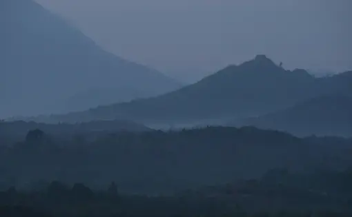 Deforestation due to palm oil farming threatens Borneo's rainforests. Screenshot from Kent Wagner's video "Mist and Mystery: Deforestation". Indonesia, 2016.