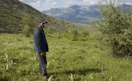 Jetmir Gjini used to grow marijuana — lots of it. Now, he and his family are back to herding sheep. Image by Nate Tabak. Albania.