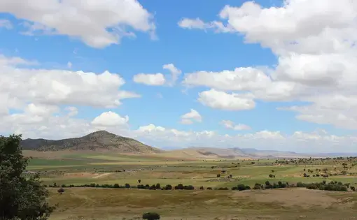 Shepherds in the valleys of the Aurès Mountain region of Algeria are facing higher temperatures and decreased rainfall, and these climate changes are cutting into their profits. Image by Yasmin Bendaas. Algeria, 2016.