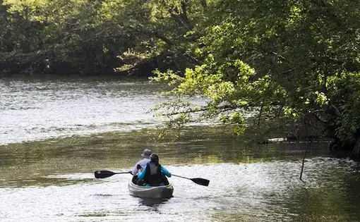 Paddlers make their way along the Waccamaw River picking up trash near Conway, S.C. Image by Jason Lee / The Sun News. United States, undated.