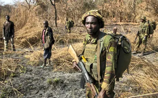 After days of pursuit, Chinko's rangers have caught two suspected poachers deep in the Chinko bush. A raid on a their camp uncovered shotguns, machetes and carcasses of antelope, buffalo, crocodile, hippo and monkey. Image by Jack Losh. Central African Republic, 2018.