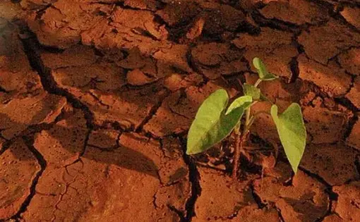 Climate experts fear catastrophe unless the world grapples with global warming without delay. Image by Daniel Grossman. 2016.