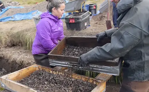 Greenlander Eva Luusi Marcussen-Mølgaard of the University of Greenland in Nuuk (left) washes soil off artifacts. She is one of a handful of students eager to study the archaeology of their homeland. Image by Eli Kintisch. Greenland, 2016.