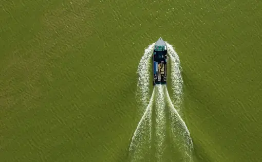 A boat of commercial fisherman Drew Koch, returns home on Sandusky Bay after fishing in Lake Erie on Sept. 27, 2019. The warm, shallow waters of Lake Erie act as an incubator for algae and toxin-producing, which gives the lake its trademark green tinge. Image by Zbigniew Bzdak / Chicago Tribune. United States, 2019.